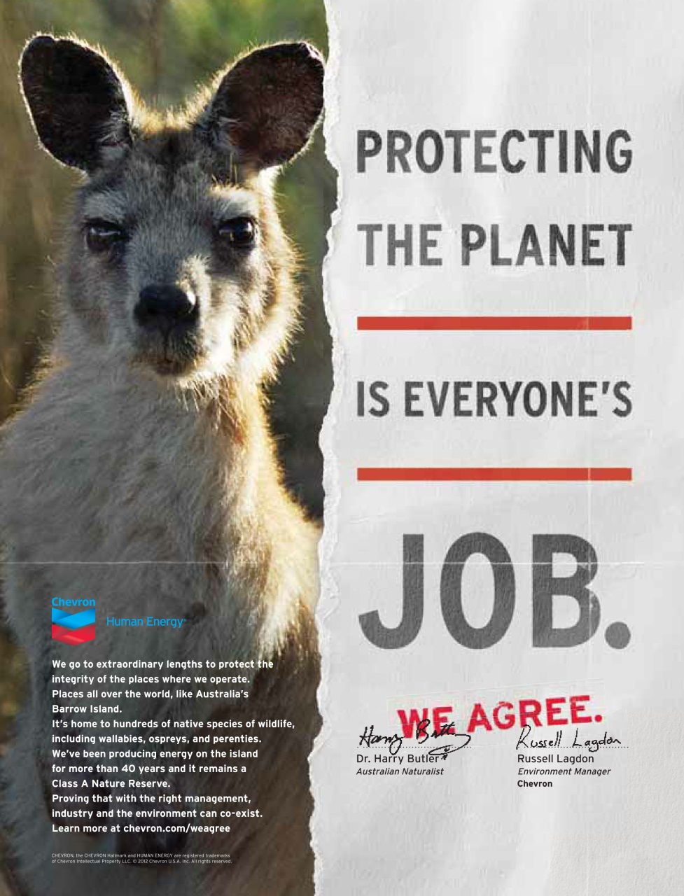 Prospect Magazine Preview Pages