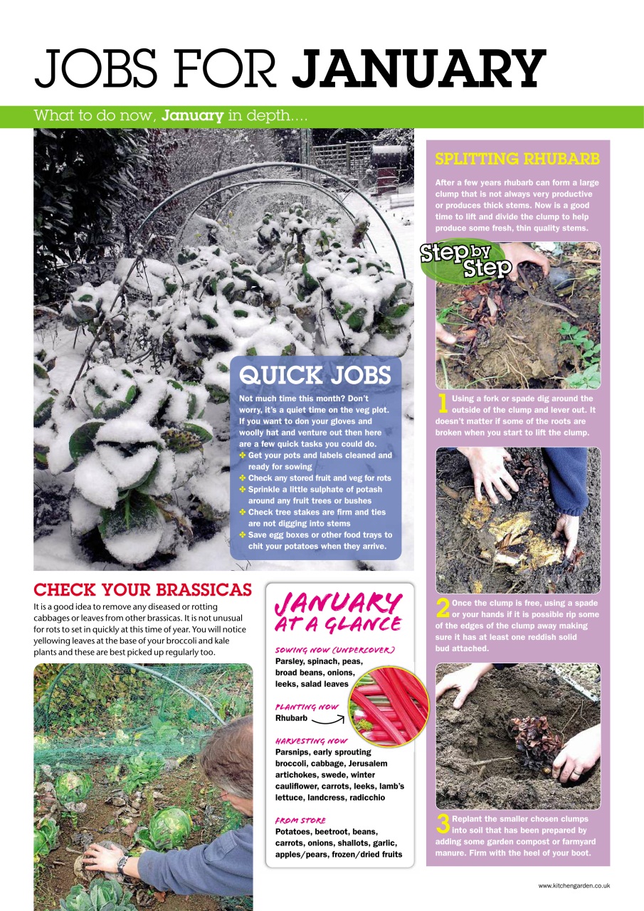 Kitchen Garden Magazine Preview Pages