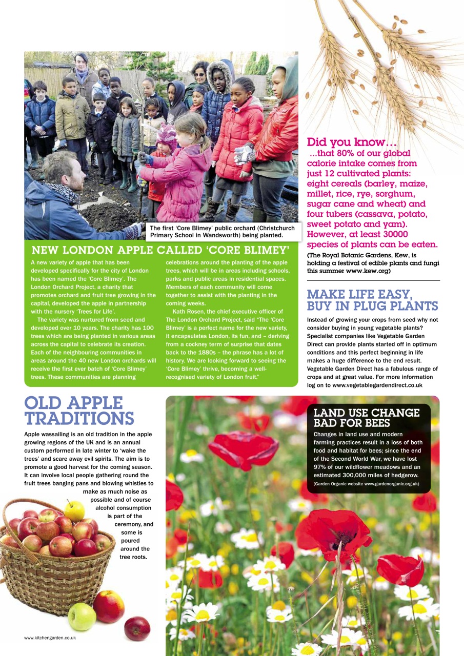 Kitchen Garden Magazine Preview Pages