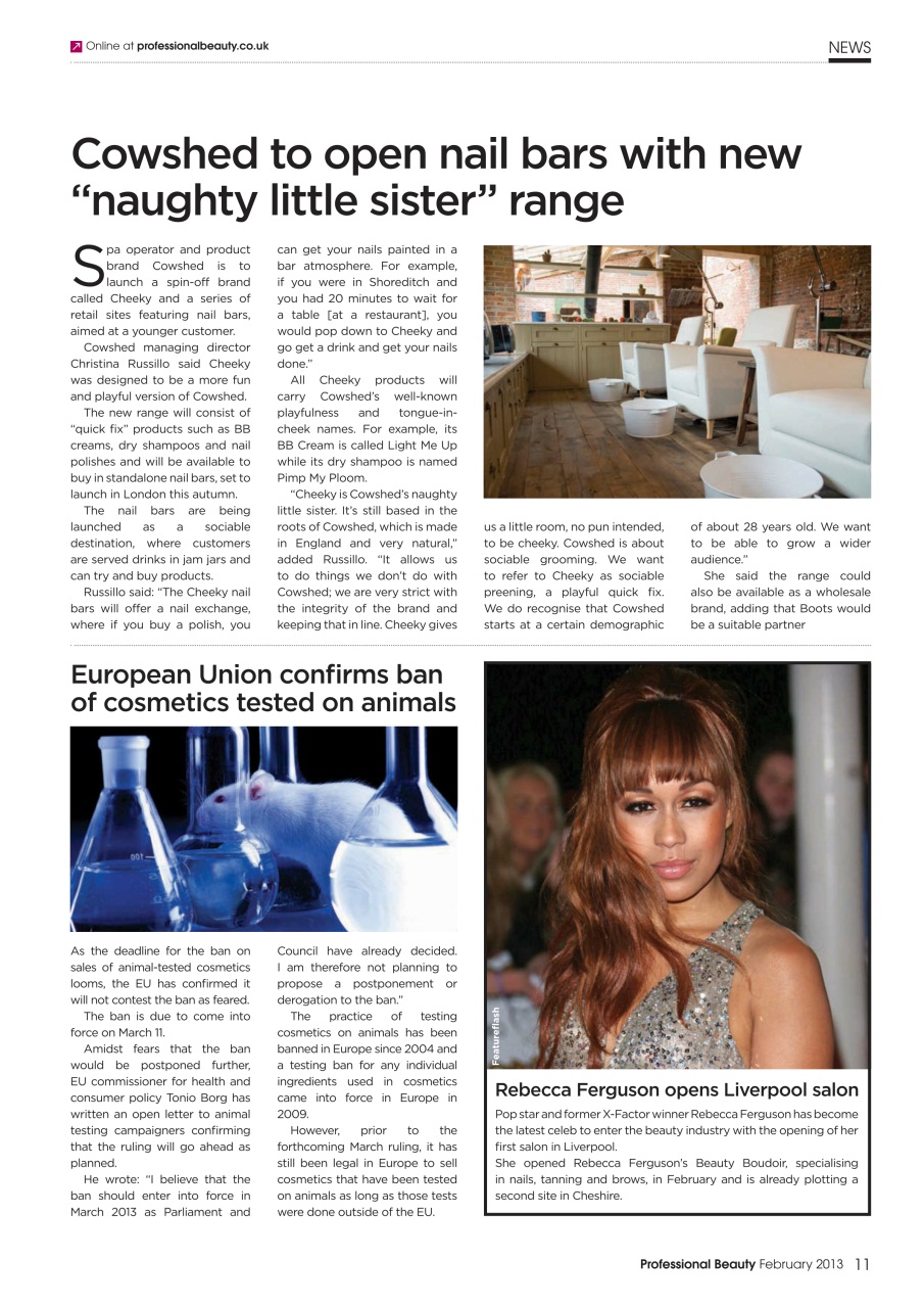 Professional Beauty Preview Pages