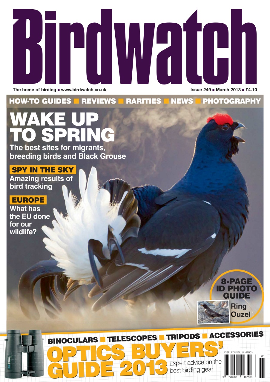 Birdwatch Magazine Preview Pages