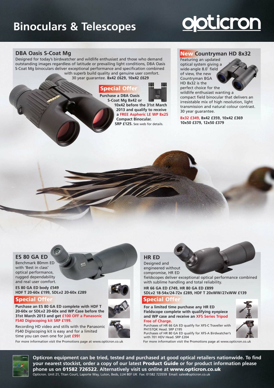 Birdwatch Magazine Preview Pages