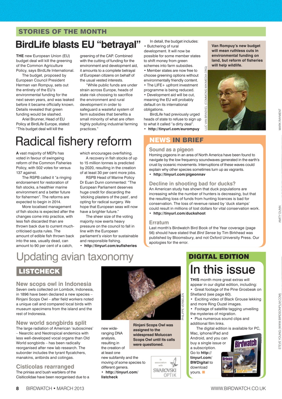 Birdwatch Magazine Preview Pages