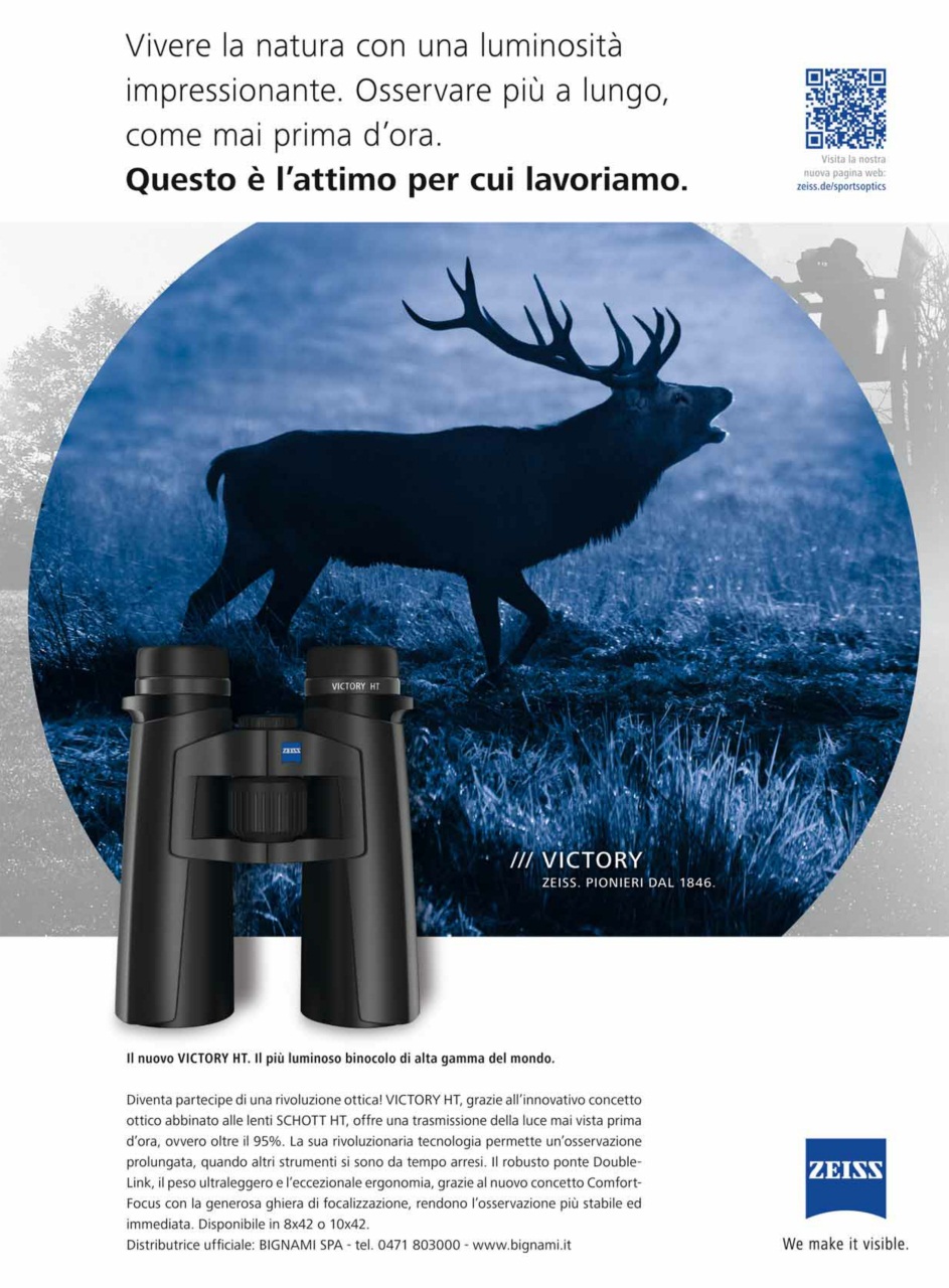 Armi E Tiro Preview Pages