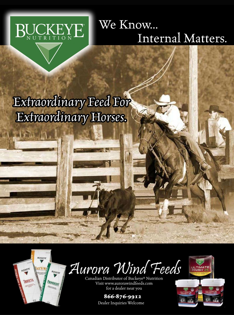 Western Horse Review Preview Pages