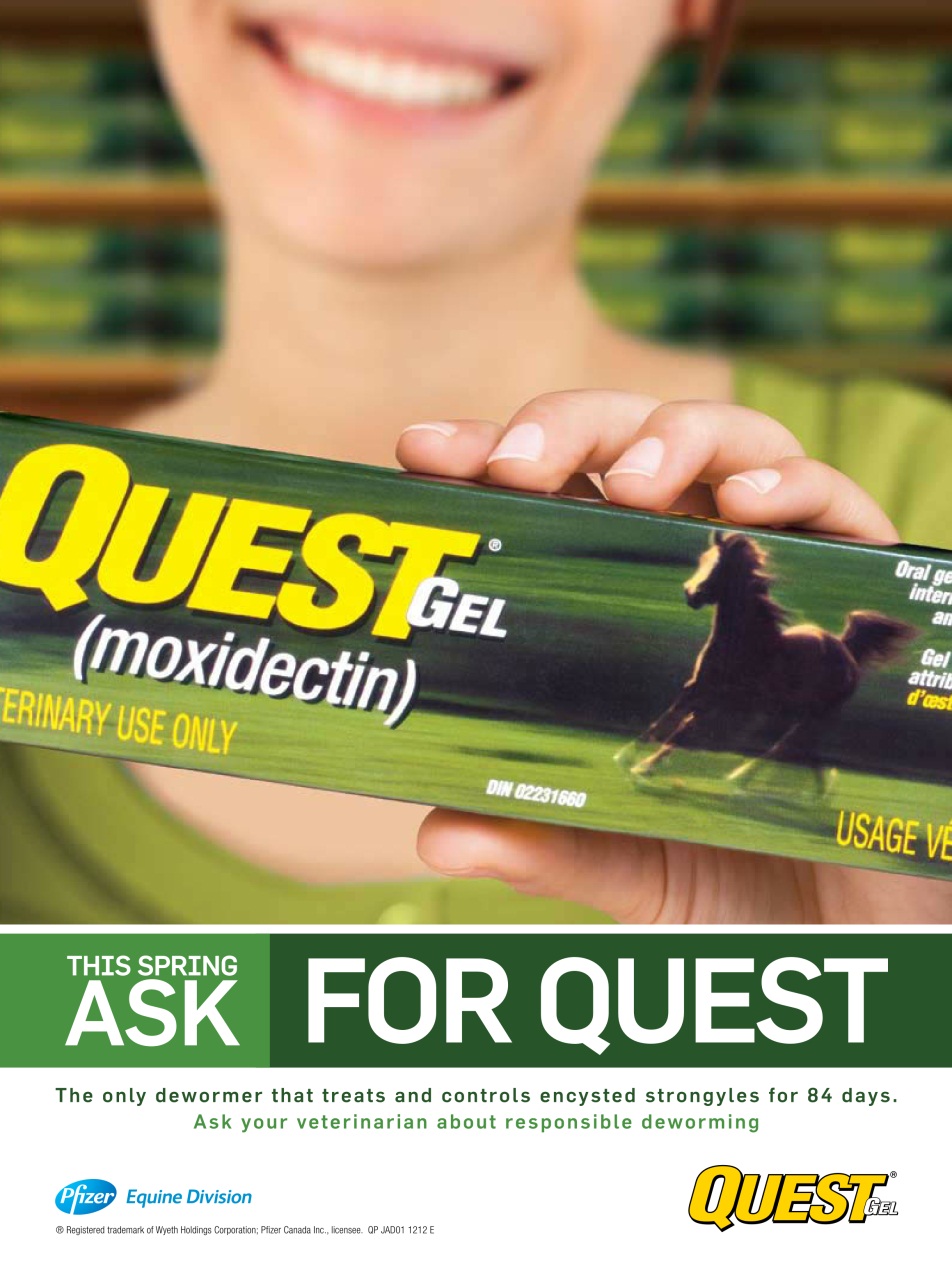 Western Horse Review Preview Pages