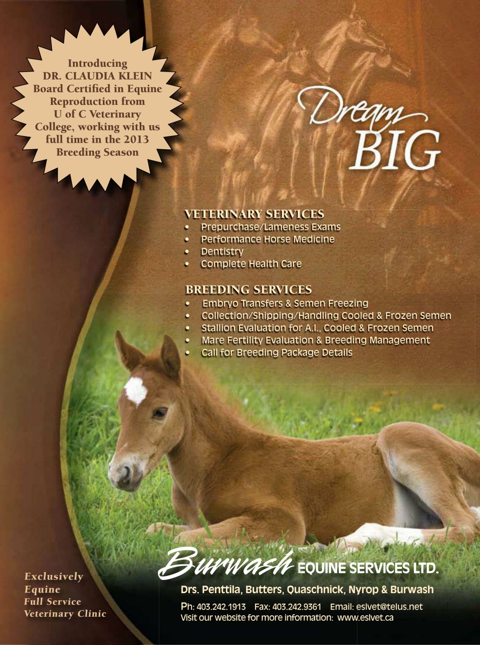 Western Horse Review Preview Pages