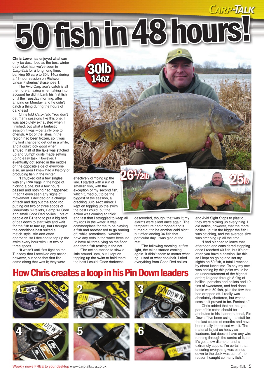 Carp-Talk Preview Pages