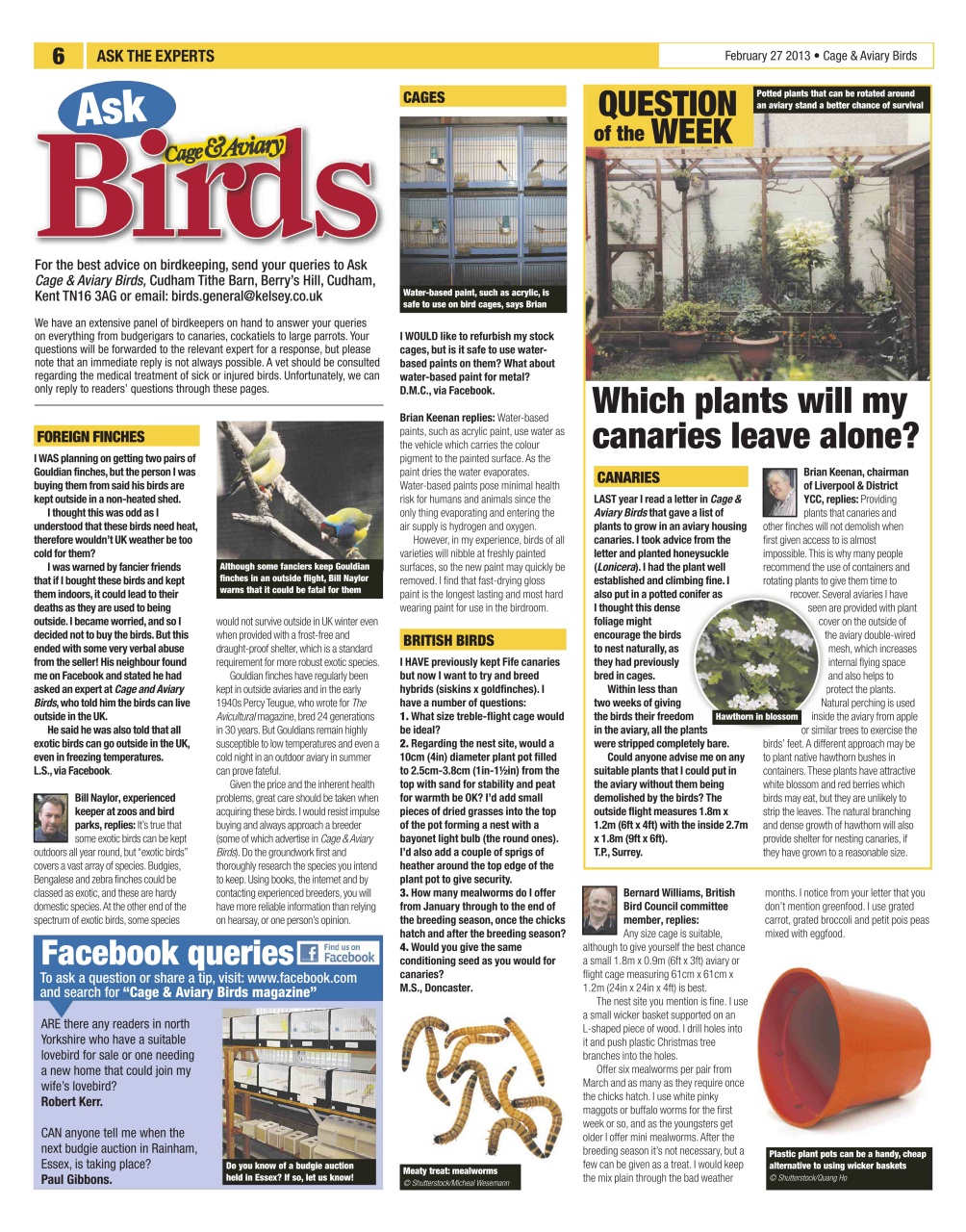 Cage & Aviary Birds Preview Pages