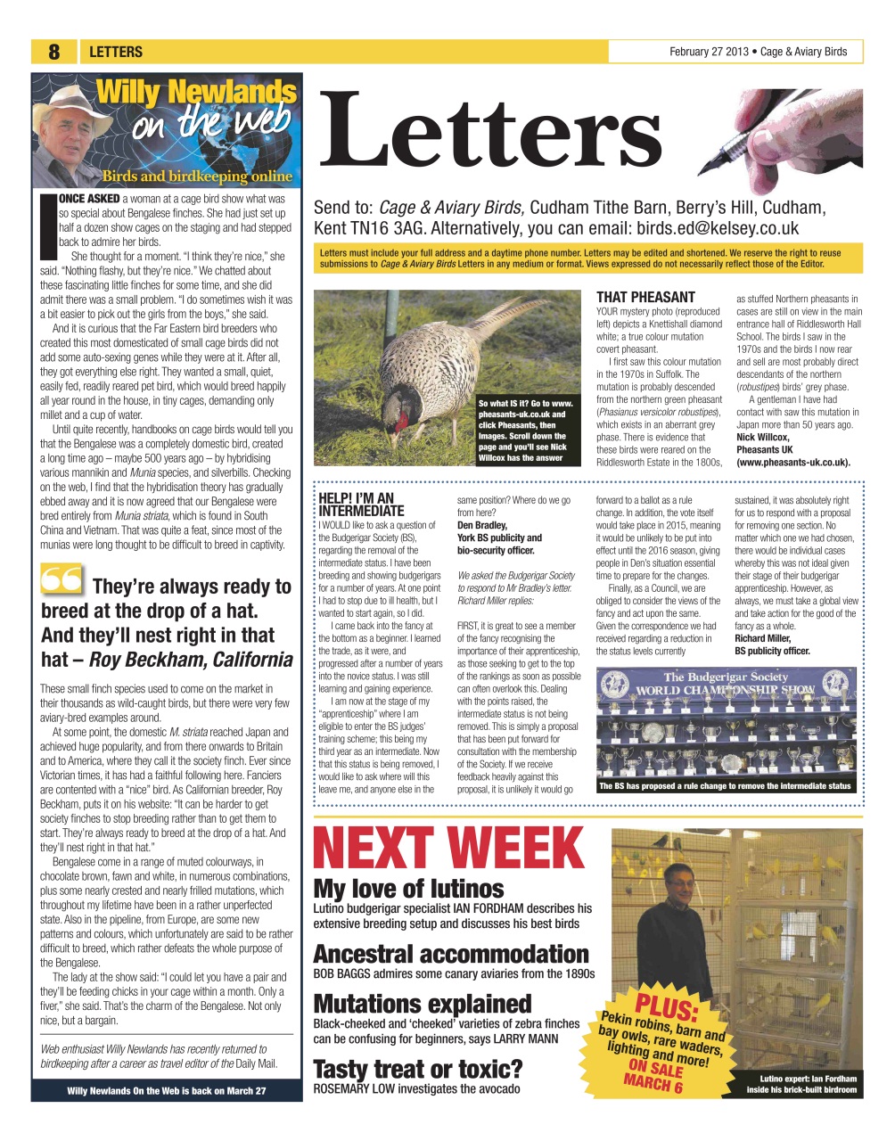 Cage & Aviary Birds Preview Pages