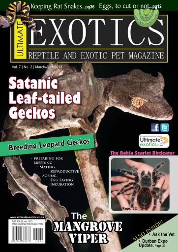 Ultimate Exotics issue 