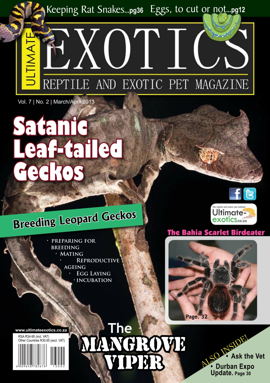 Ultimate Exotics Preview Pages