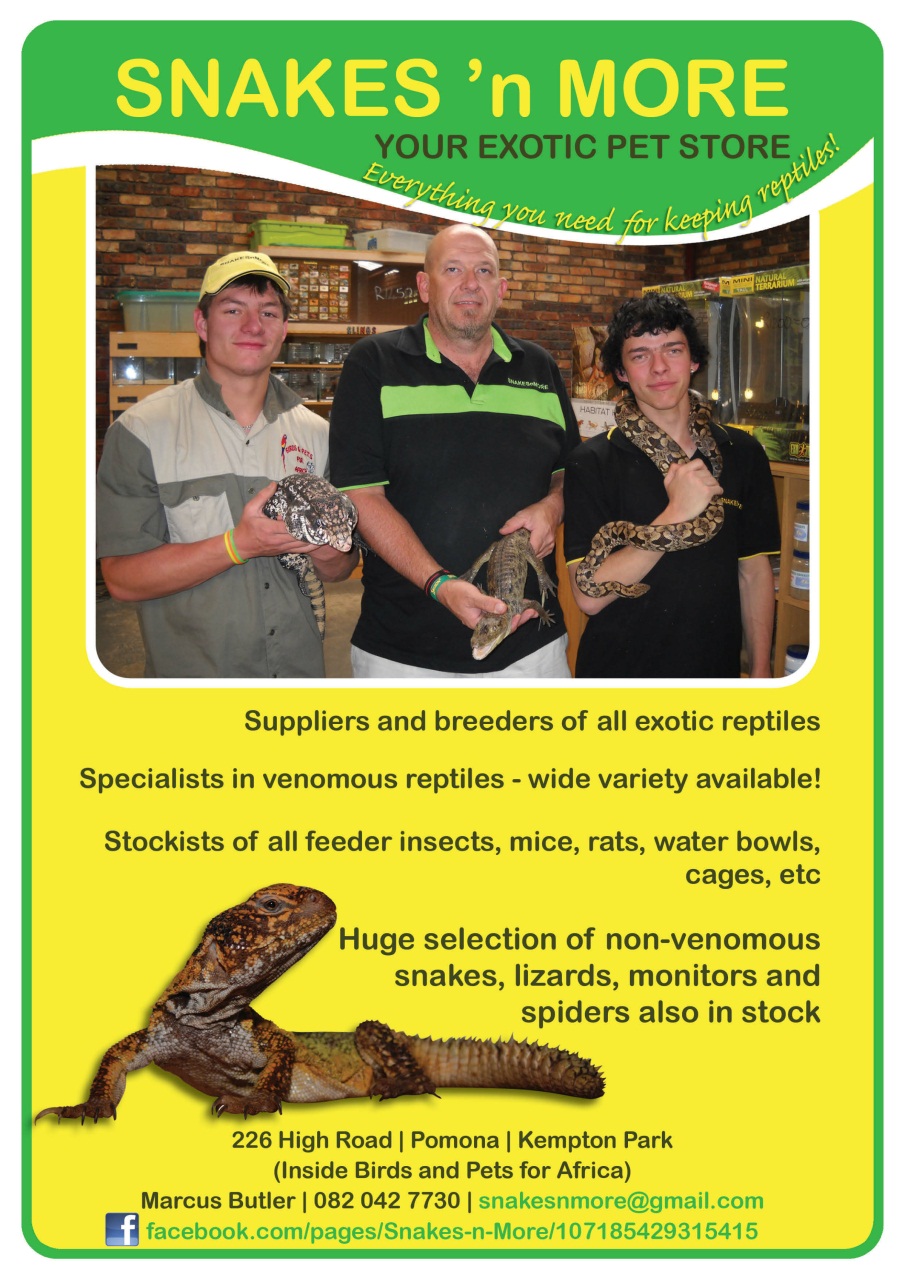 Ultimate Exotics Preview Pages