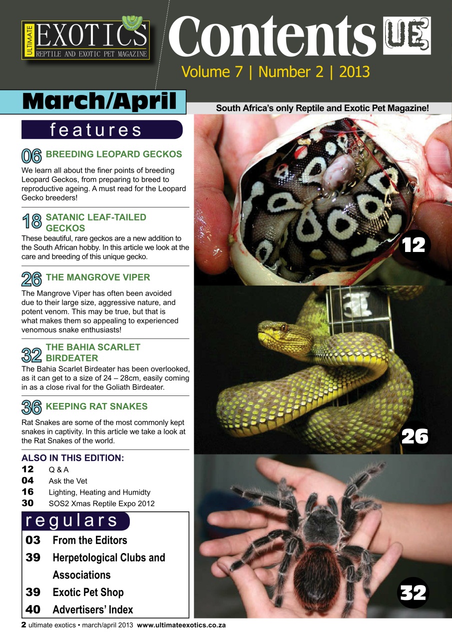 Ultimate Exotics Preview Pages