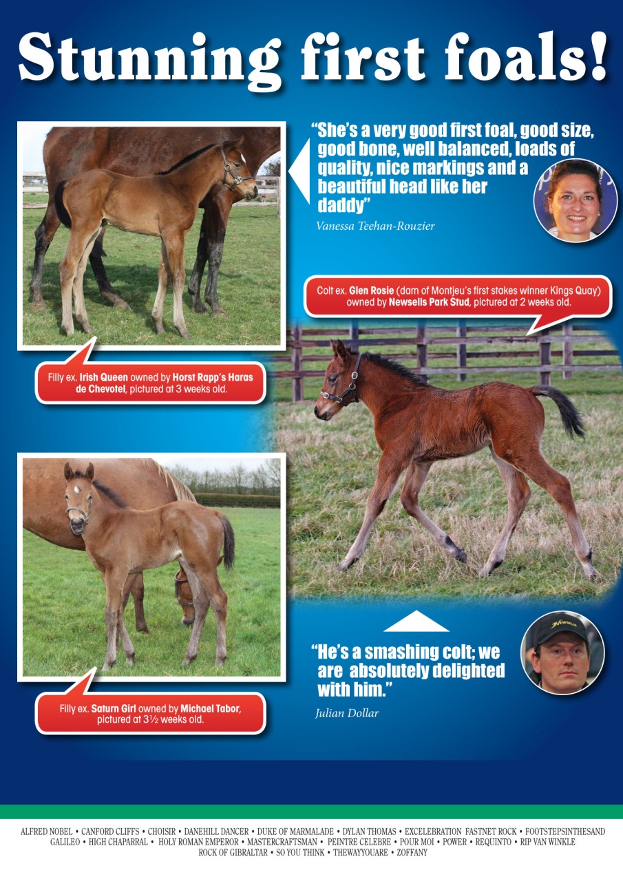 The Owner Breeder Preview Pages