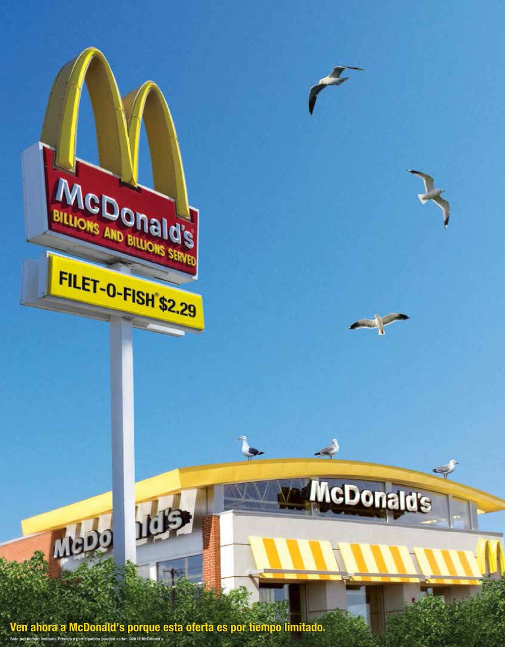 Latin Trends Preview Pages