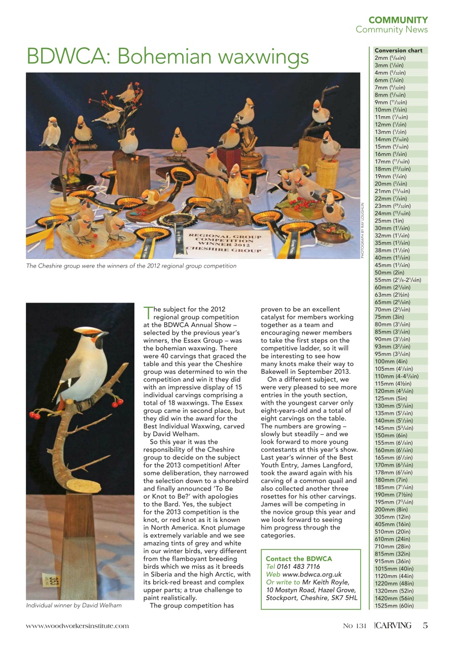 Woodcarving Preview Pages