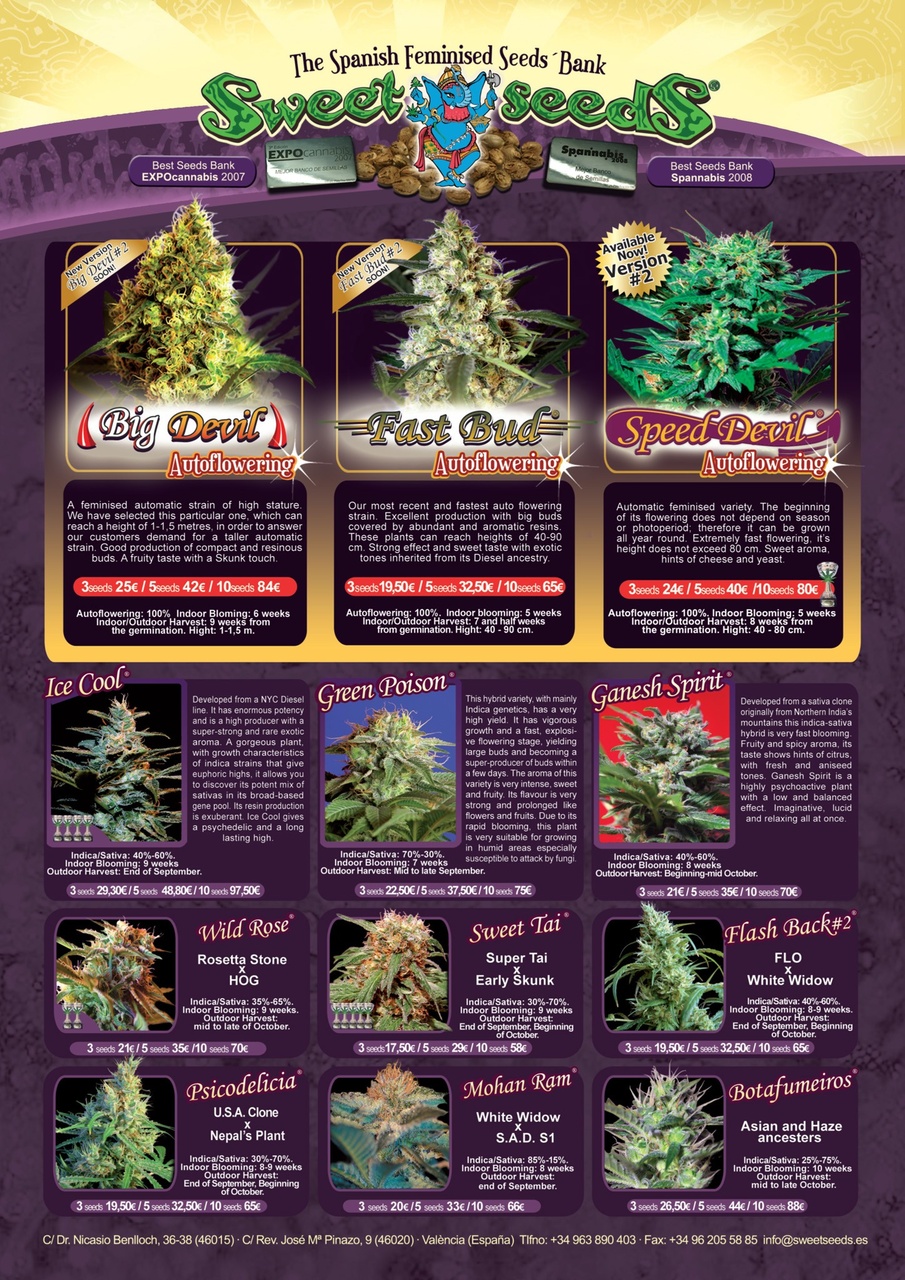 Weed World Preview Pages