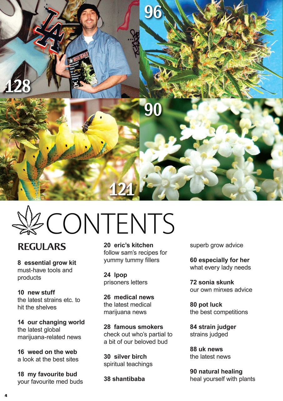 Weed World Preview Pages