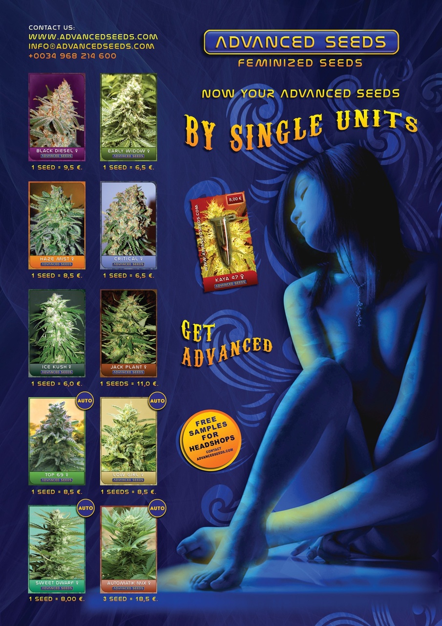 Weed World Preview Pages