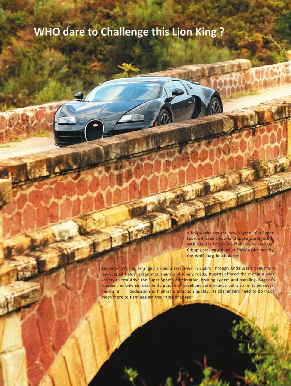 SUPER MOTORS Preview Pages