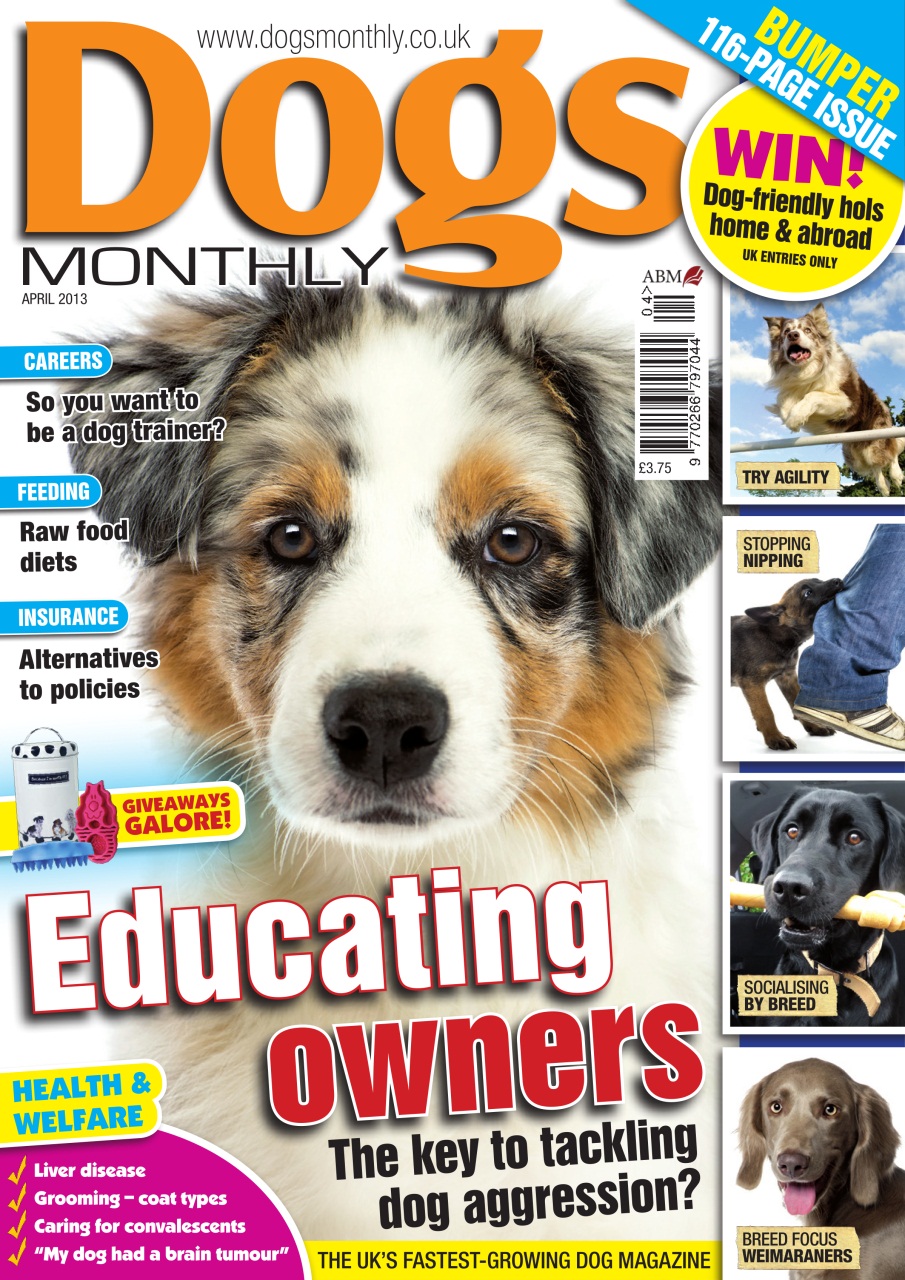Dogs Monthly Preview Pages