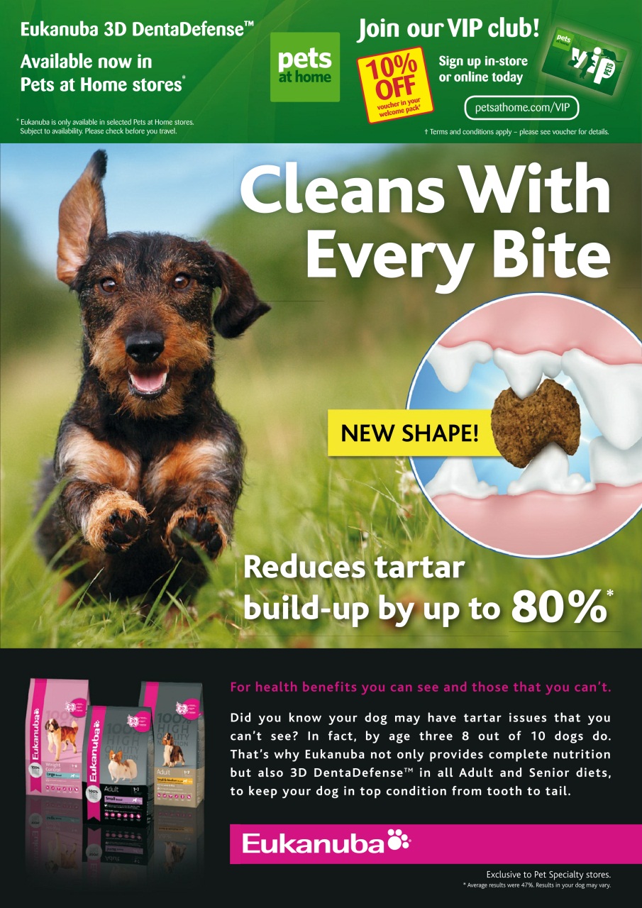 Dogs Monthly Preview Pages