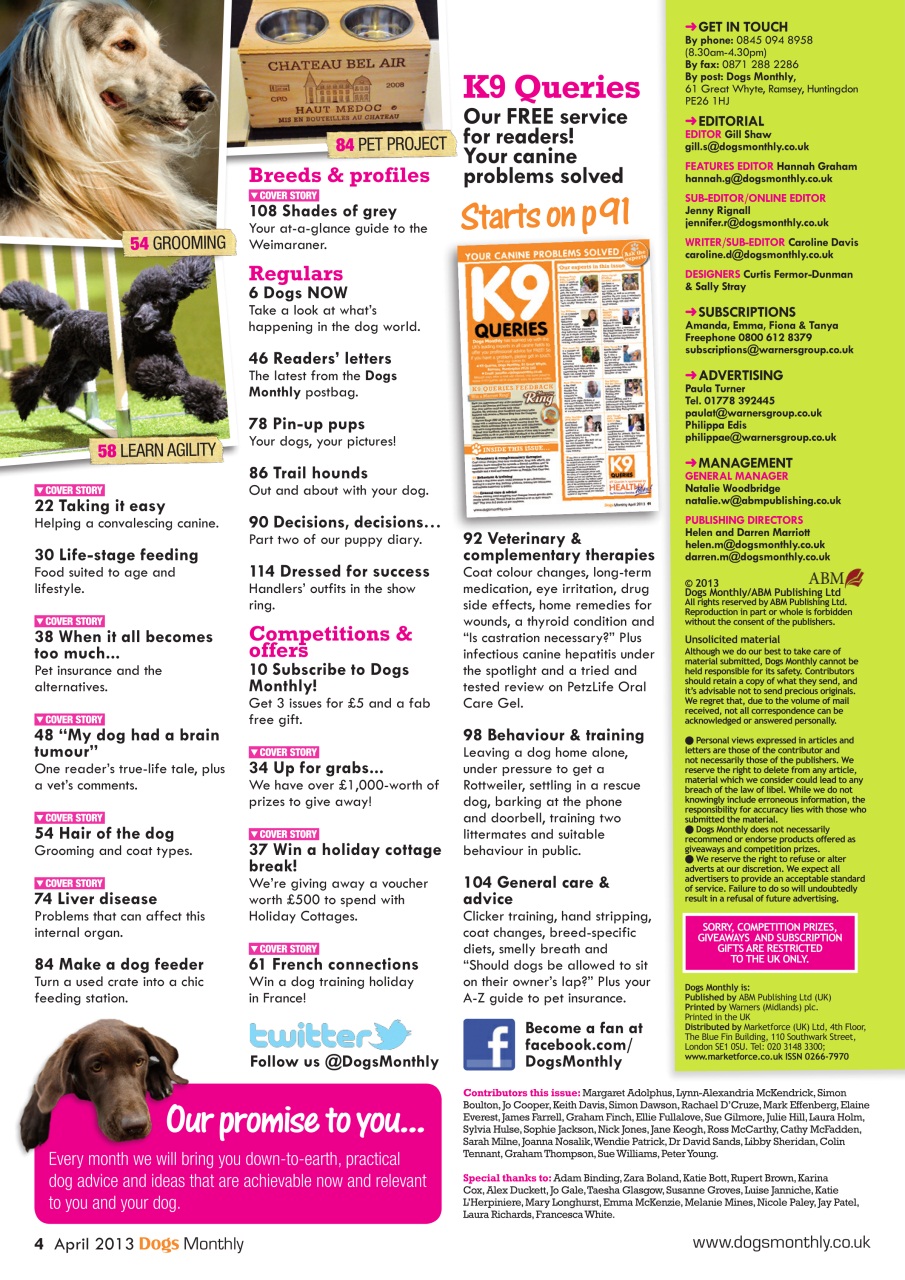 Dogs Monthly Preview Pages