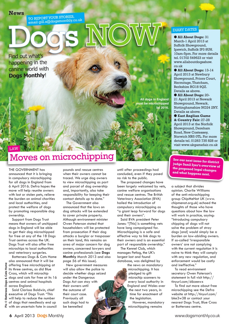 Dogs Monthly Preview Pages