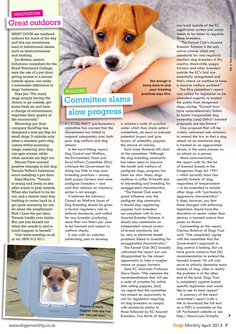 Dogs Monthly Preview Pages