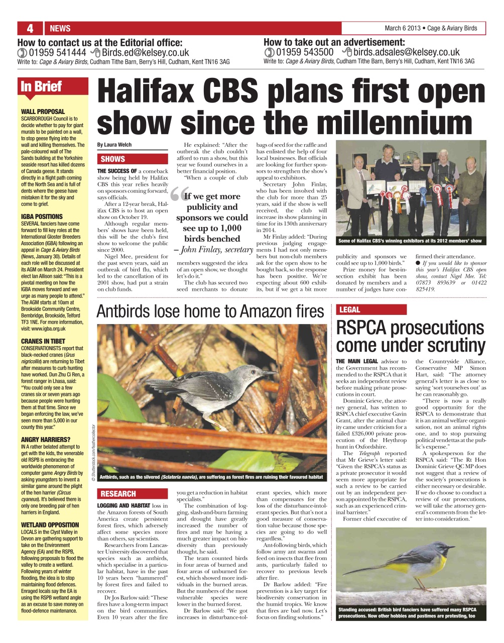 Cage & Aviary Birds Preview Pages