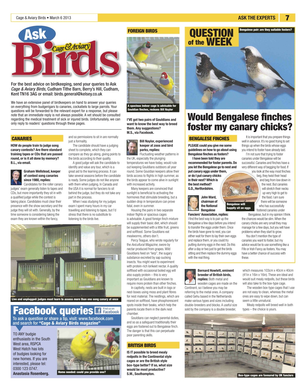 Cage & Aviary Birds Preview Pages