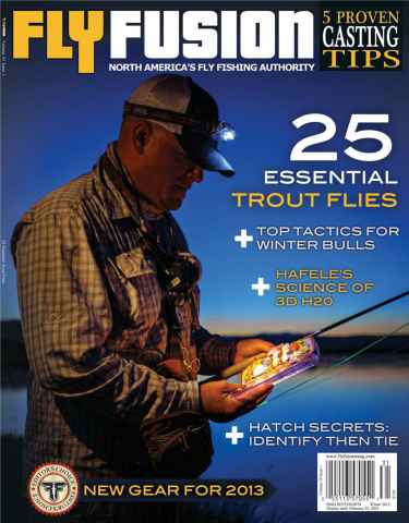Fly Fusion issue Volume 10 Issue 1