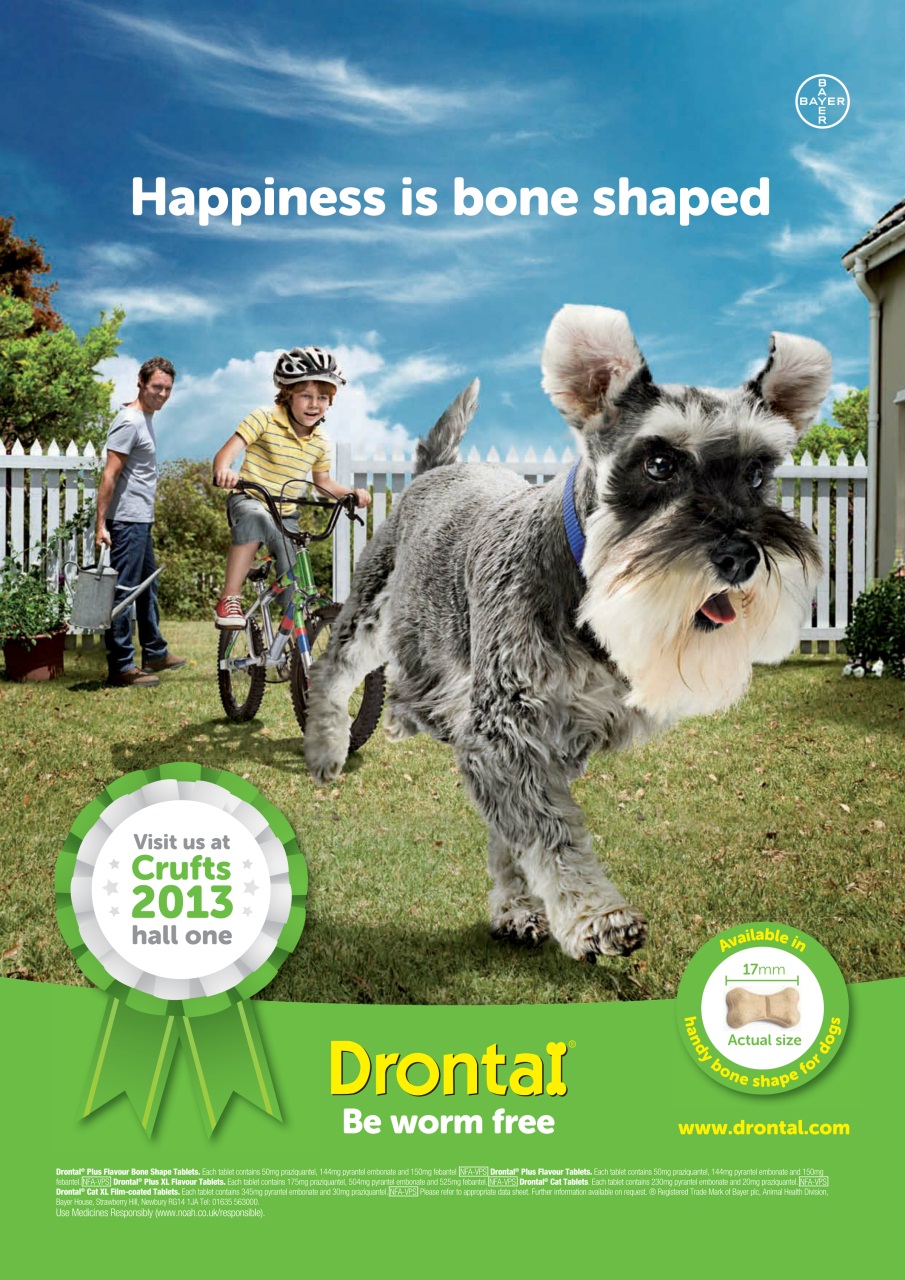 Your Dog Preview Pages