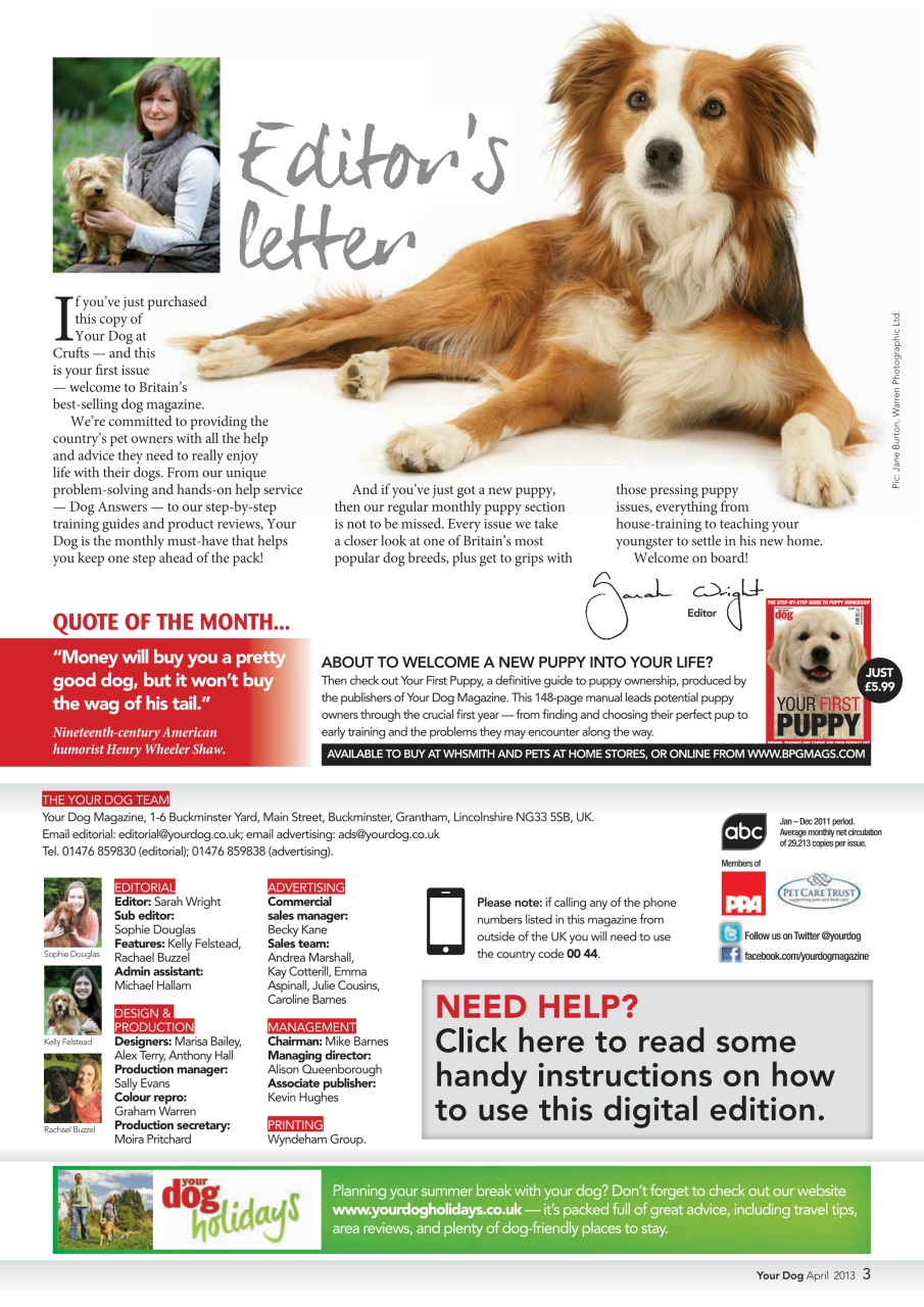 Your Dog Preview Pages