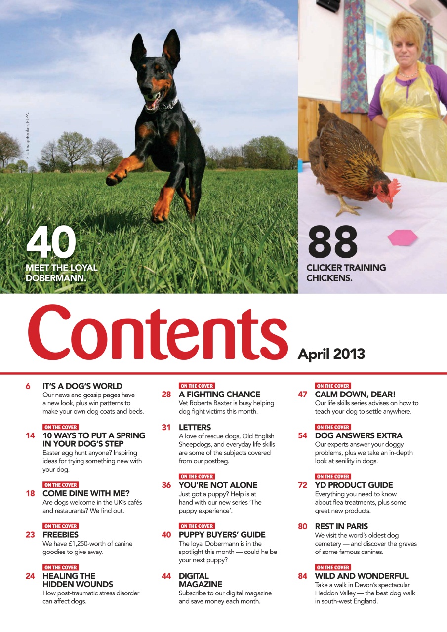 Your Dog Preview Pages