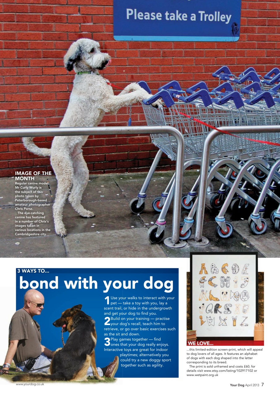 Your Dog Preview Pages
