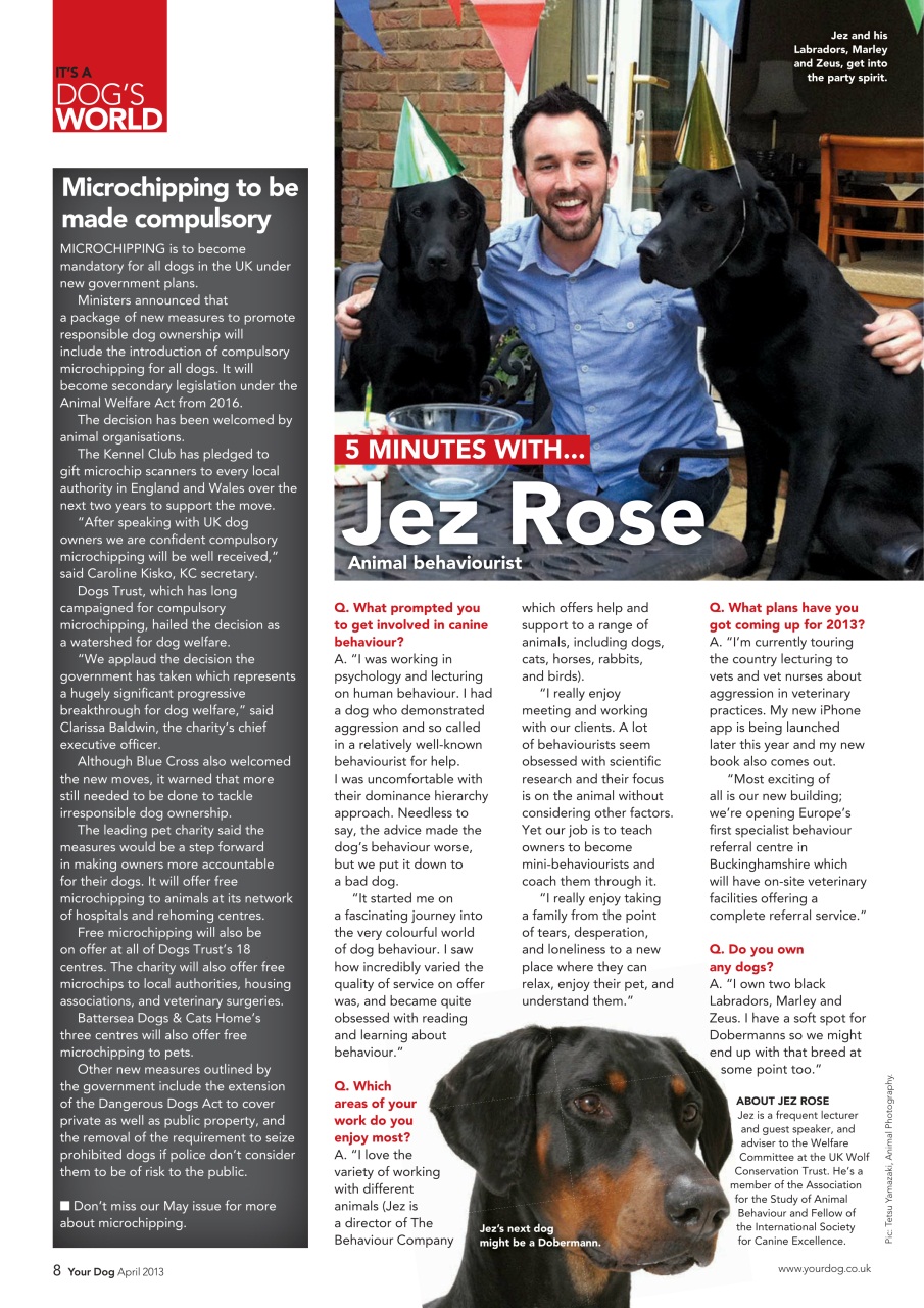 Your Dog Preview Pages