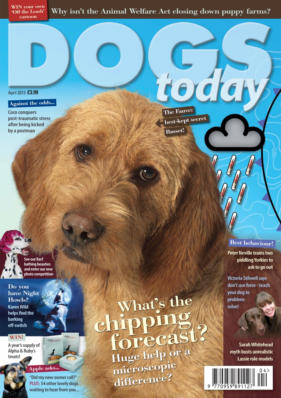 Dogs Today Magazine Preview Pages