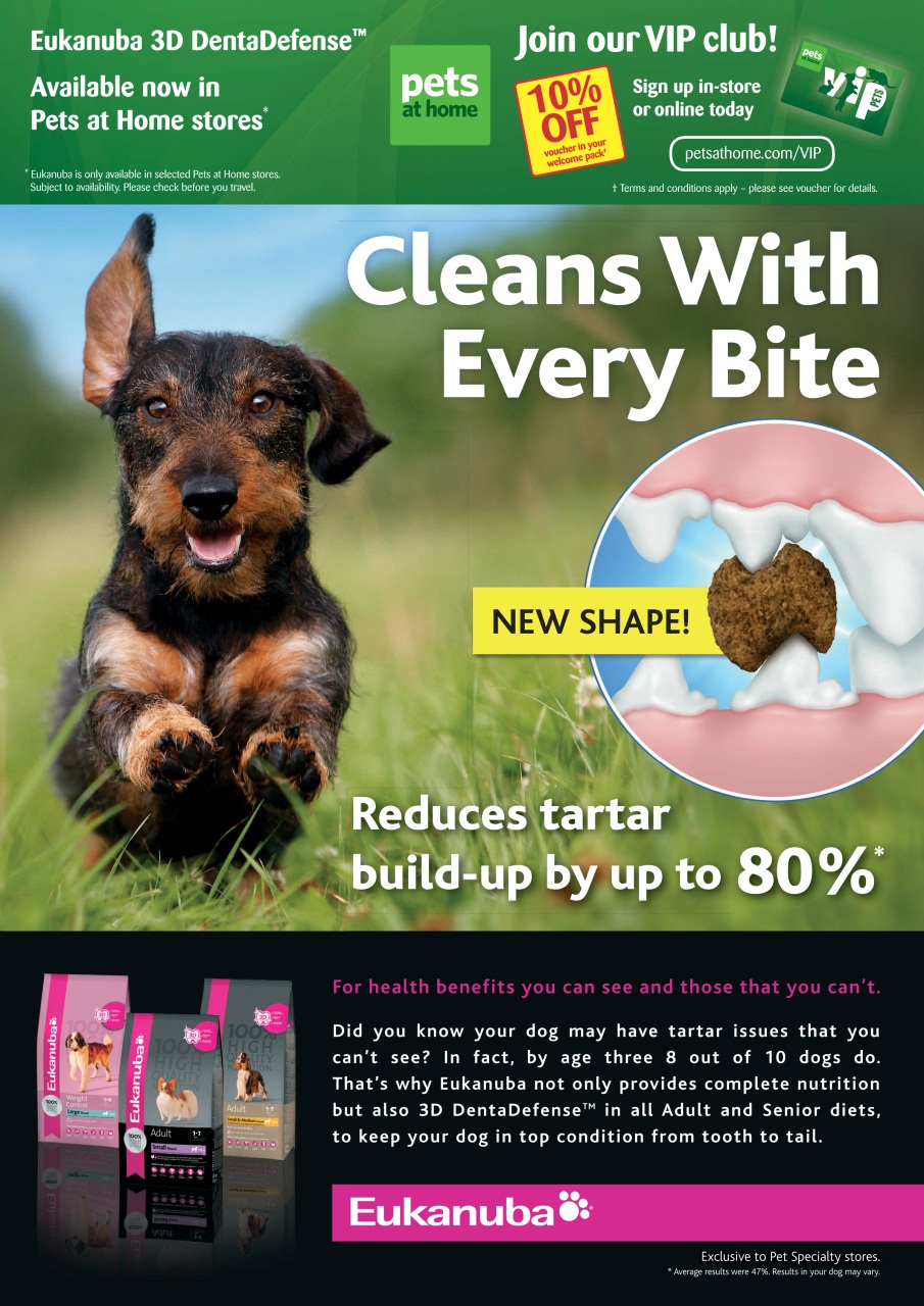 Dogs Today Magazine Preview Pages