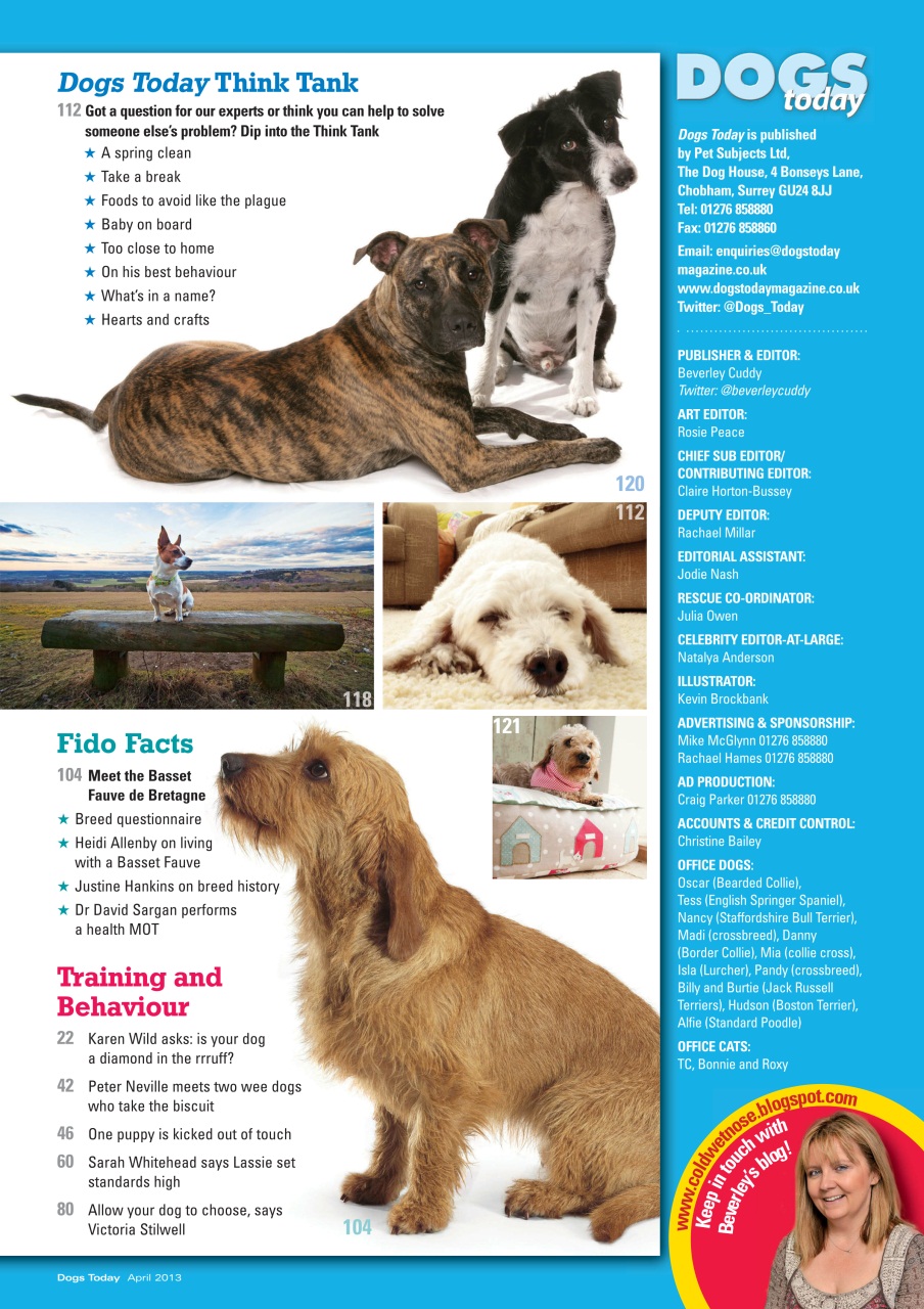 Dogs Today Magazine Preview Pages