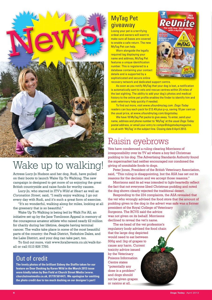 Dogs Today Magazine Preview Pages