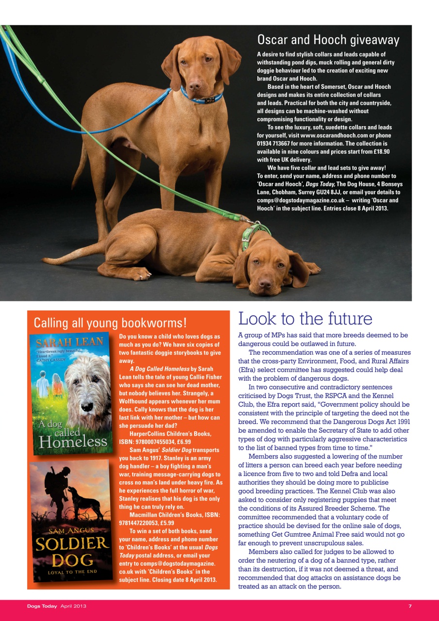 Dogs Today Magazine Preview Pages