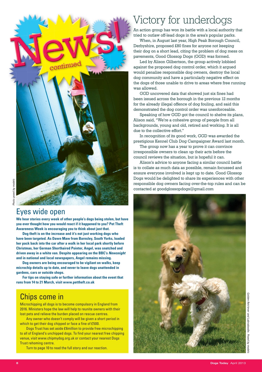 Dogs Today Magazine Preview Pages