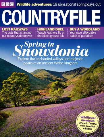 BBC Countryfile Magazine issue April 2013