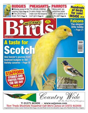 Cage & Aviary Birds issue Cage & Aviary 13 March 2013