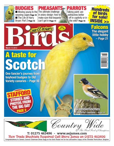 Cage & Aviary Birds issue 