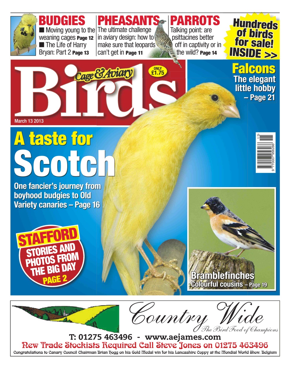 Cage & Aviary Birds Preview Pages