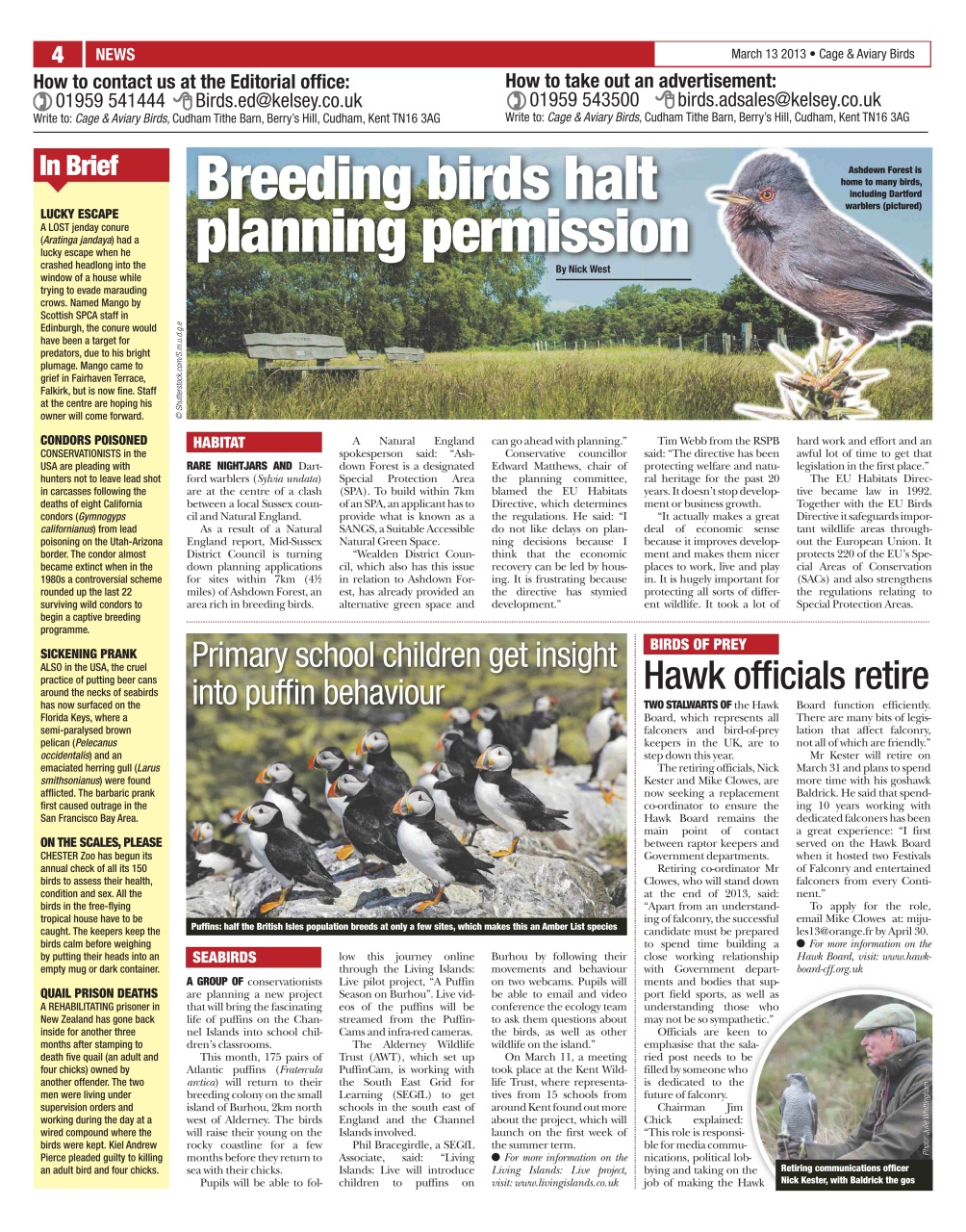 Cage & Aviary Birds Preview Pages