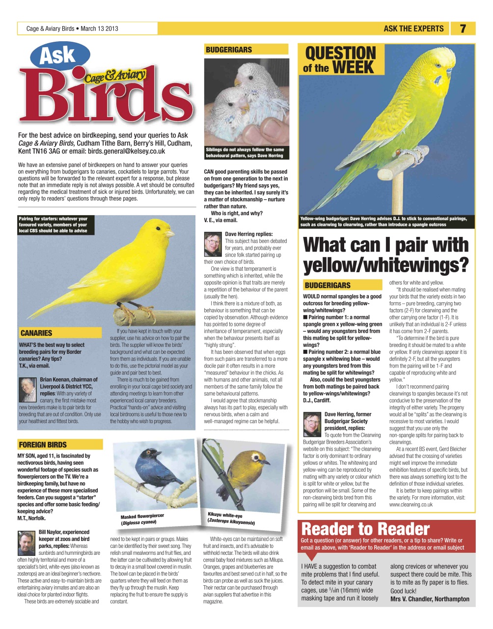 Cage & Aviary Birds Preview Pages